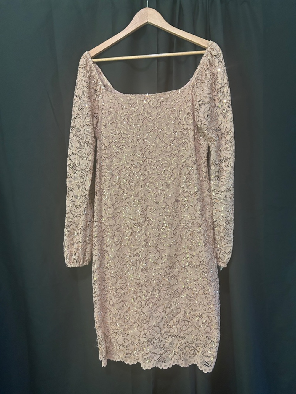 MARINA Sequin Lace Long-Sleeve Dress in Blush Pink